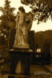Vara�din Graveyard 4