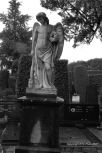 Vara�din Graveyard 5