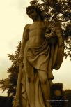 Vara�din Graveyard 6