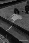 Vara�din Graveyard 10