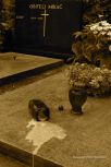 Vara�din Graveyard 11