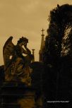 Vara�din Graveyard 15