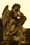Vara�din Graveyard 16