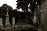 Vara�din Graveyard 30