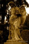 Vara�din Graveyard 31