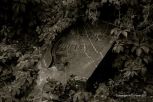 Vara�din Graveyard 33