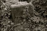 Vara�din Graveyard 35