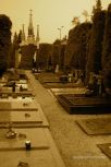 Vara�din Graveyard 36