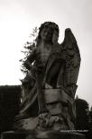 Vara�din Graveyard 38