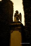 Vara�din Graveyard 40