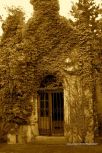 Vara�din Graveyard 44
