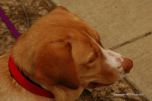 Zuri Sisko In The Summer 13