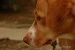 Zuri Sisko In The Summer 22