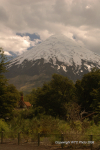 Petrohue 9