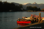 Petrohu�