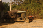 �Yangshuo