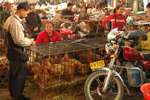 �Yangshuo