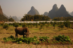 �Yangshuo