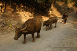 �Yangshuo