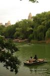 NYC Central Park 26