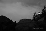 �Trip