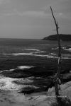 �Trip