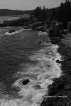 �Trip