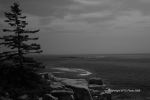 �Trip
