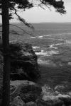 �Trip