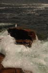�Trip