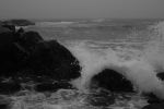 Foggy Day Waves B&W 5