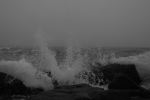 Foggy Day Waves B&W 8