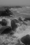 Foggy Day Waves B&W 17