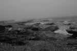 Foggy Day Waves B&W 21