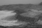 Foggy Day Waves B&W 24
