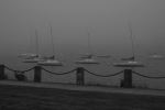 Foggy Day Waves B&W 58