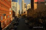 Overnight Visit To Chicago 1