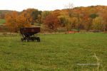 Cloudy Fall Wisconsin Day 26
