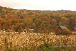 Cloudy Fall Wisconsin Day 36
