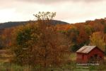 Cloudy Fall Wisconsin Day 41