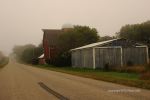 Foggy Farmland Morning 2