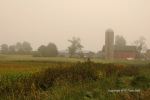 Foggy Farmland Morning 8