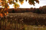 Natural Bridge Park 8