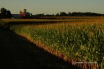 Intro To Wisconsin 2