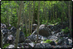Rocky Mt. Nat�l Park 1
