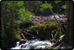 Rocky Mt. Nat�l Park 2