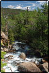 Rocky Mt. Nat�l Park 5