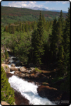 Rocky Mt. Nat�l Park 7