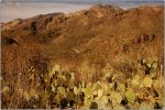 Blackett's Ridge 5