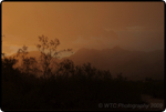 Desert Summer Storms 3